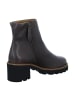 Paul Green Klassische Stiefeletten in Braun