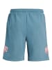 JACK & JONES Junior JPSTKANE JJDETROIT SWEAT SHORTS NA JNR in oceanview