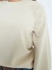 DESIRES Sweatshirt in Sandshell