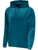 Hummel Hoodie in Blau
