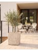 Beliani Outdoor Blumentopf THALASSA in Beige - (W) 44 x (H) 44 x (L) 44 cm