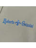 Roberto Geissini Inspiring Sweatjacke Grau