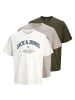 Jack and Jones 3er Pack T-Shirts Denver Graphic Tee SS O-Neck in Mehrfarbig