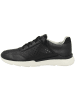 Geox Sneaker low D Hiver B in schwarz