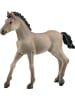 Schleich Criollo Definitivo Fohlen in Mehrfarbig ab 5 Jahre