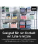 SmartStore 2er-Set Aufbewahrungsbox Classic Transparent 61L