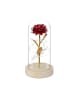 relaxdays Ewige Rose in Rot/ Gold - (H)22 x Ø11 cm