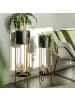 bremermann 2tlg-Set Blumenhocker 25,5 x 25,5 x 86 cm in Gold/schwarz