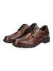 LLOYD Halbschuhe in Tobacco
