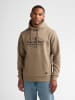 Petrol Industries Hoodie mit Grafik-Print millview in Braun