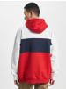 TOMMY JEANS TOMMY JEANS Hoodie in crimson/multi bunt0