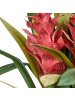 Beliani Kunstpflanze GUZMANIA ATILLA in Grün/Rot - (W) 56 x (H) 50 x (L) 56 cm