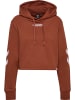 Hummel Hoodie Hmllegacy Woman Cropped Hoodie in ARABIAN SPICE