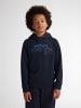 Petrol Industries Artwork Hoodie Wenatchee in Blau