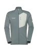 Mammut Taiss Light ML Jacket Men in Grün2070