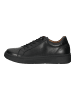 Hush Puppies Sneaker in Schwarz