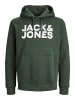 Jack & Jones Hoodie 'Corp Logo' in grün