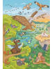 Schmidt Spiele Reise in die Natur, 3x48 Teile, mit Add-on (Wissensbüchlein) | Kinderpuzzle...