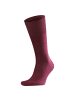 Falke Socken 2er Pack in Barolo (8596)