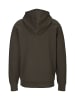 Replay Sweatshirt Organic Cotton Fleece in braun