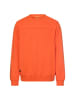 Camel Active Sweatshirt in burned orange