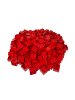 LEGO DUPLO® 2x2 Bausteine Rot 3437 25x Teile - ab 18 Monaten in red