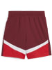 Puma Sporthose "SFV Shorts Replica Jr" in Rot