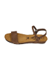 Plakton Sandalen FRAN AMBO 405725 in braun