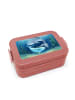 Mr. & Mrs. Panda Brotdose Walfisch Thunfisch Design ohne Spruch in Rot Pastell