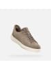 Geox Sneaker U in taupe