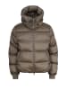 No.1 Como Steppjacke SCOTTIA in TAUPE