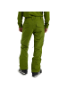 Burton M SOUTHSIDE PANT SLIM in Grün
