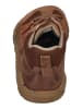 KOEL Sneaker Low Raxo in braun