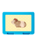 Mr. & Mrs. Panda Bento Box Meerschweinchen Weisheit ohne Spruch in Gelb Pastell