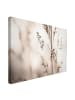 WALLART Leinwandbild - Elegantes Gras im Schatten in Creme-Beige