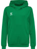 Hummel Kinder Hoodie "Hmlauthentic Pl Hoodie Kids" in Multicolor