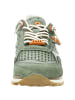Cetti Sneaker in dunkelgrün