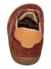 KOEL Sneaker Low BLAKE SUEDE in braun