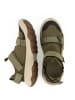 Teva Sneaker Outflow Universal in Dark Olive