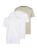 Redmond T-Shirt Basic in Weiß / beige