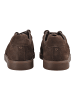 Clarks Sneaker CRAFT PRO in Braun