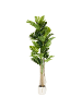 Beliani Kunstpflanze MONSTERA PLANT in Grün/Schwarz - (W) 71 x (H) 221 x (L) 71 cm