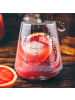 Mr. & Mrs. Panda Whiskey Tumbler Wellensittich Liebe ohne Spruch in Transparent