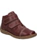 Josef Seibel Stiefelette Neele 63 in bordeaux