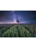 Ravensburger Puzzle 1.500 Teile Erwachsenenpuzzle Power of Nature 1500 Teile - Nachthimmel über dem Kornfeld Ab 14 Jahre in bunt
