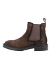 Steve Madden Stiefelette HATTON in Dunkelbraun