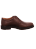 Ecco Schnürschuh in braun