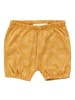 Sense Organics Shorts Kreise in Gelb