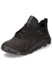 Ecco Lowtop-Sneaker MX W in black