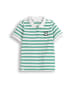 Coccodrillo T-Shirt mit kurzem Ärmel in grün